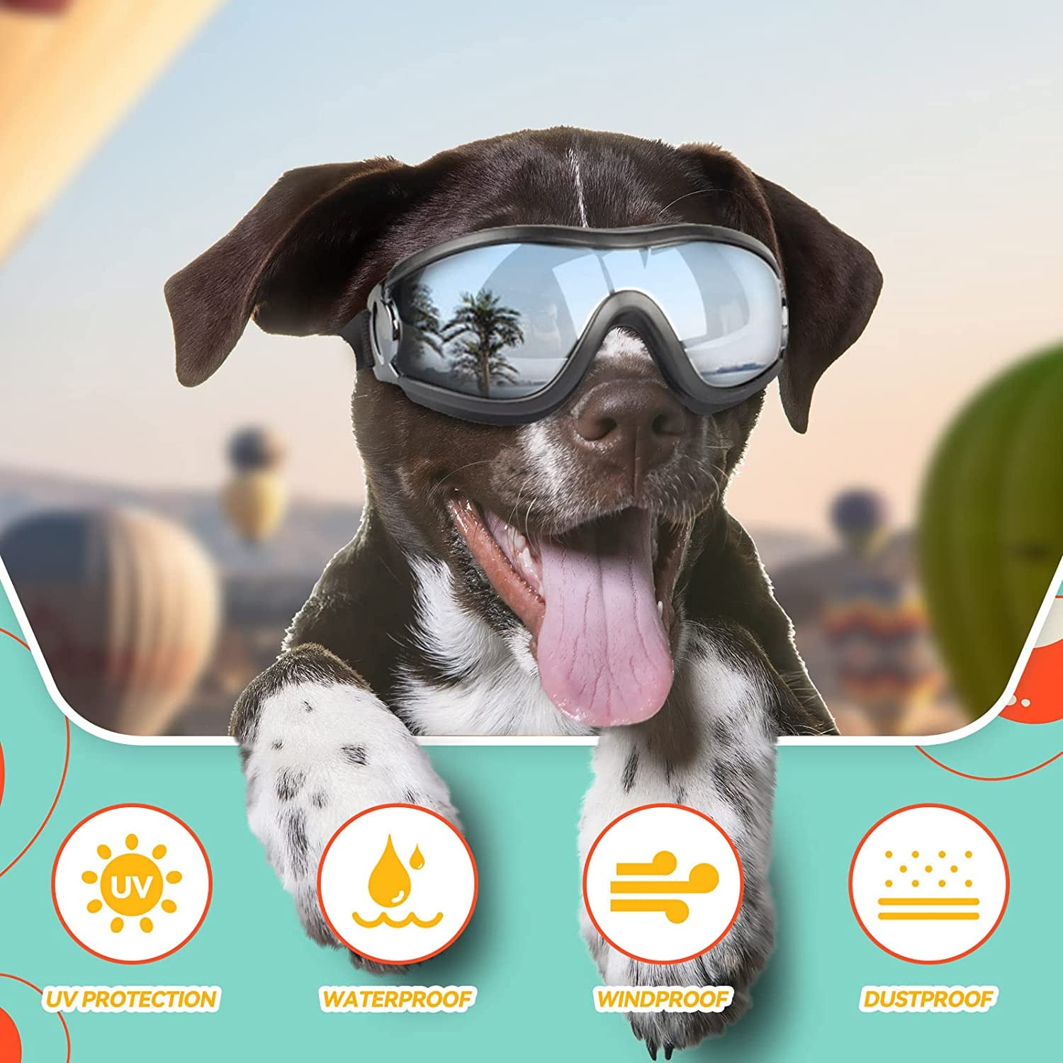Premium Dog Goggles for Large Breeds - Stylish Eye Protection for Riding, Biking & Driving - Perfect for Medium to Large Dogs - Windproof & UV Protection - Sleek Black Design