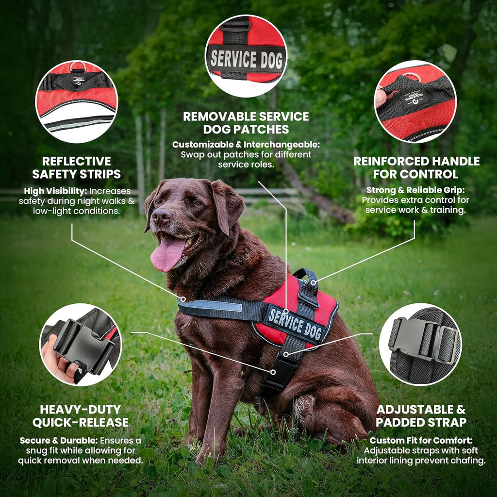 Comfort & Safety Pink Emotional Support Vest Harness for Dogs - Large 27-33 In, Adjustable, Durable with Reflective Straps, Removable Patches, Handle & Leash Attachment for Travel & Daily Use